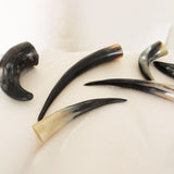 WATER BUFFALO HORN