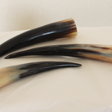 WATER BUFFALO HORN