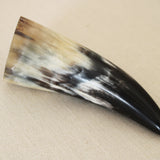 WATER BUFFALO HORN