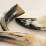 WATER BUFFALO HORN