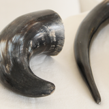 WATER BUFFALO HORN